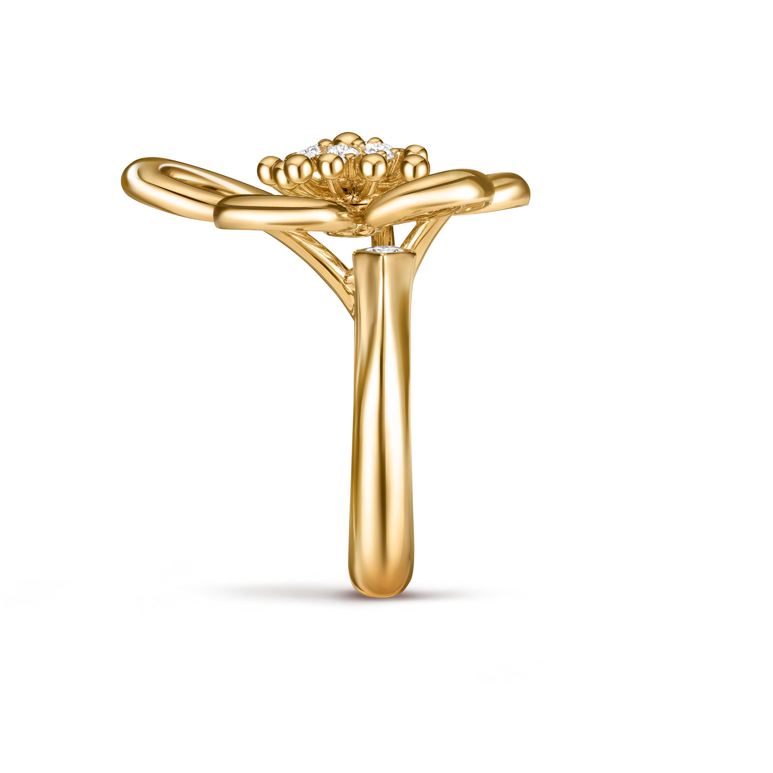 Pavé with 6-Prong Engagement